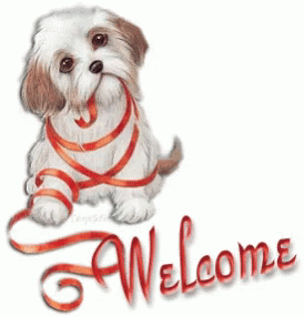 welcome-dog.gif