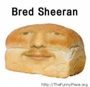 Bred-Sheeran.jpg