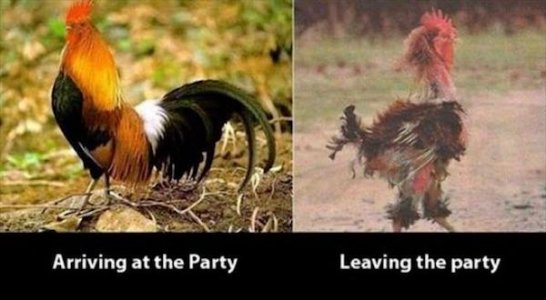 before-and-after-party.jpg