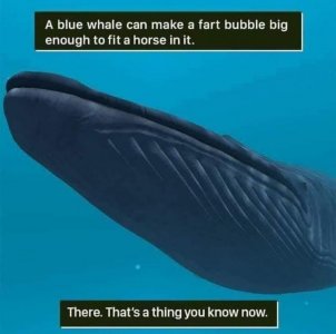 290693336_8055162511175475_5869448391735580694_n.jpg