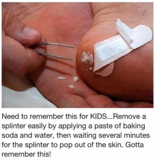 splinters.jpg