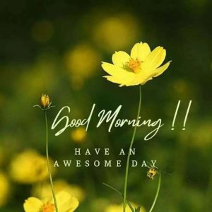 26114c1e8d5eb70d1bd52baed6ecc763[1].jpg