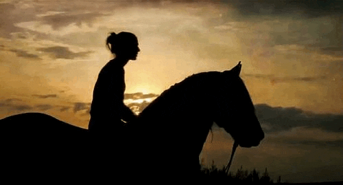 9F417652-F338-41EC-BD0E-D5F8CD529EBF.gif