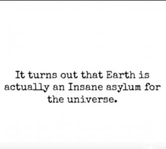 insane.jpg