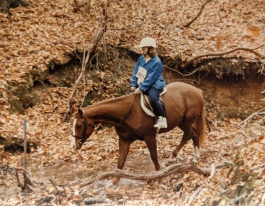 Foxy in trail ride competition.jpg