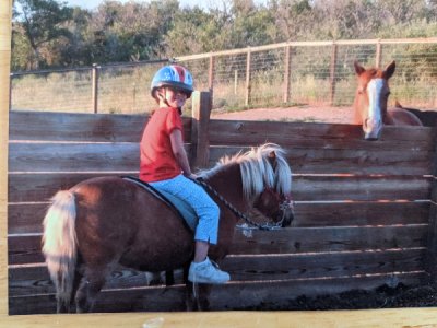 Paddington Pony.jpg