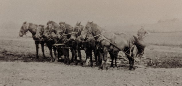 family photo plowing farm.jpg