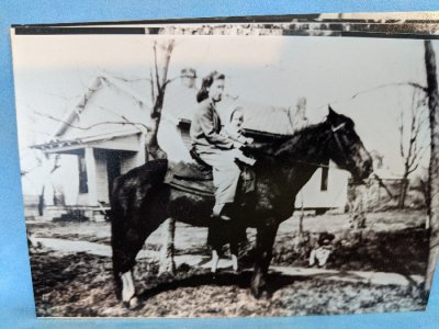 family photo baby on horse.jpg