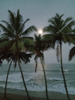 B074D027-540A-413E-B893-48C628C12572.jpeg