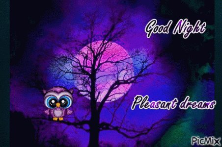 8385457_ba65d.gif