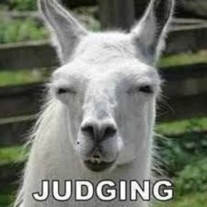 judging.jpg