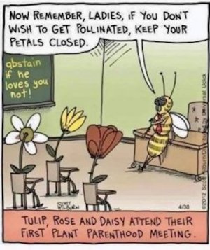 pollinated..jpg