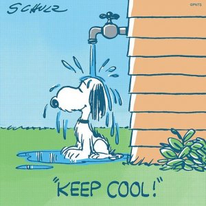 99e40eb6974d826c42121aeffaebe161[1].jpg
