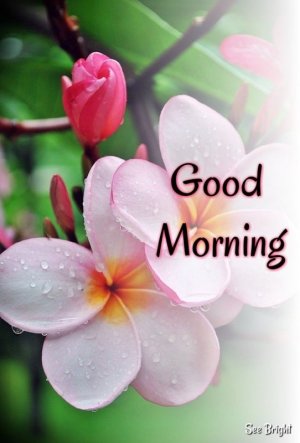 35c09c2f65fdbc6cbf233b3c923bfb4b.jpg