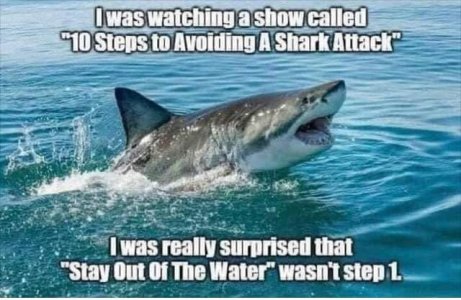 329C0A33-AAB0-41AD-9532-A196F52C5EE4.jpeg