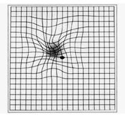 grid.jpg