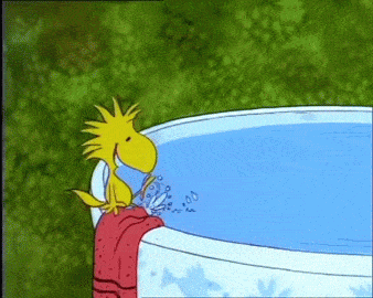 dd594d00ad2495e75370595394513f9f[1].gif