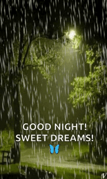 rain-lights.gif