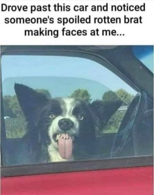 FB_IMG_1657496097722.jpg