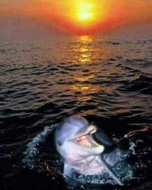 FB_IMG_1657942089921.jpg