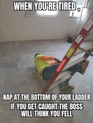 FB_IMG_1658136147684.jpg