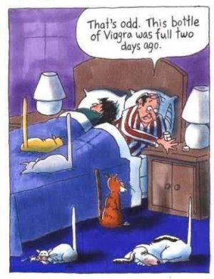 FB_IMG_1657155250727.jpg