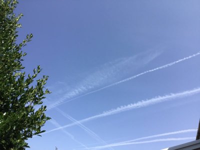 9C877576-BDD3-4358-844C-F60AD82124D2.jpeg