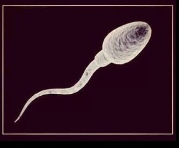 early me fin.jpg