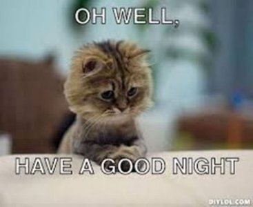 85a4f6754bde4a59479bc7527aeaf465[1].jpg