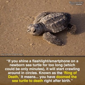 B9988F86-F0A5-4978-B918-13B2DD178C90.jpeg