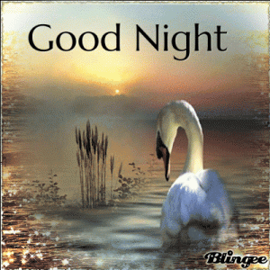 4A39E2B1-9255-4616-828E-723E82793A96.gif