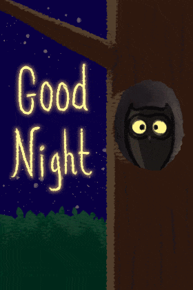 May2419+Good+Night+Owl+NM.gif