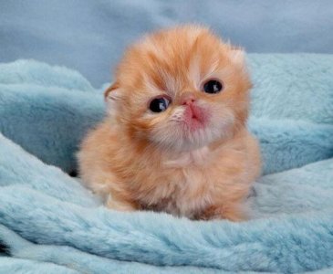 3a6266255a225fe26af51f19f0889dbc[1].jpg