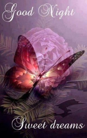 37d9e754762acf9e891a64994677dc03[1].jpg