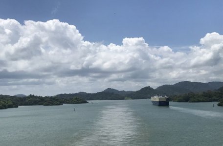 Recent Panama 4.jpg Recent Panama 4.jpg