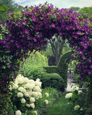 tumblr_67b5a2d00e50124ce6055c884462d4fe_fe42e74e_640.jpg