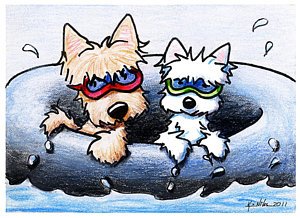 summer-splash-scottie.jpg