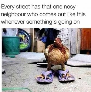 76FBEDB6-F792-4335-906A-352529E4717E.jpeg