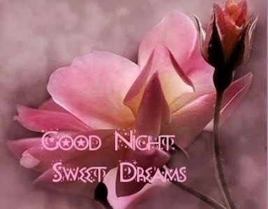 67959bedc76bb13d90329a90ad9f1e69[1].jpg