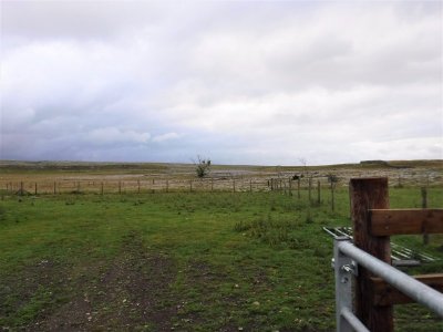 Malham Limestone Paving.1.jpg