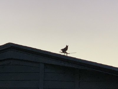72AA28C1-BA05-4BCA-9934-463AE2DBB66C.jpeg