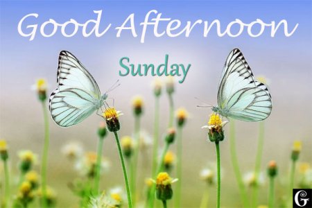 good-afternoon-sunday-images.jpg
