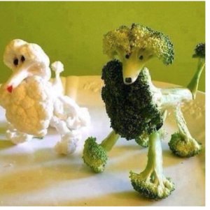 dogs eat'.jpg