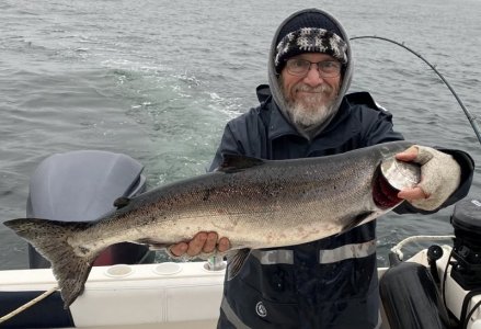 salmon.jpg
