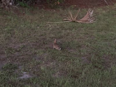 20577619-C202-4453-8AB3-84C3BA5574E0.jpeg
