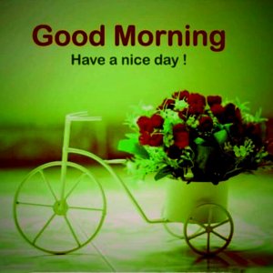 Good-Morning-39.jpg