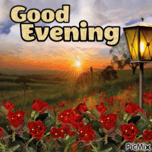 377402-Rose-Good-Evening-Gif.gif