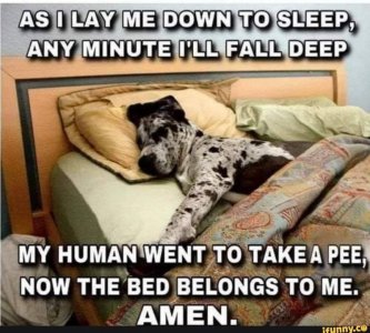 C2C791B3-B31A-415F-9C8C-2868E6A0CC87.jpeg