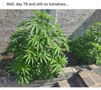 E89B502C-11E5-4C55-AF8B-DCC25B54AC04.jpeg