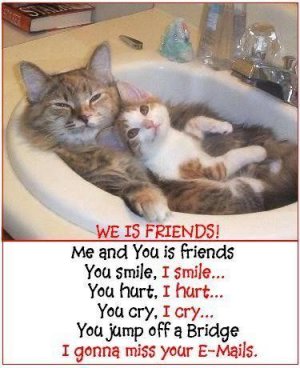 We Is Friends.jpg